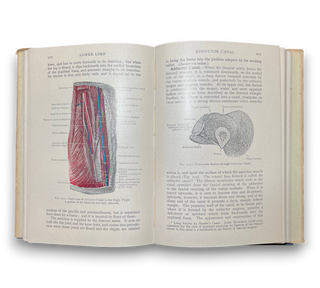 Cunningham's Manual of Practical Anatomy