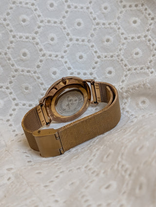 Daniel Wellington Quartz Rose Gold Round Mesh Strap Watch