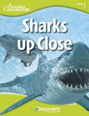 Sharks Up Close