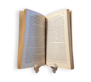 The South in Northern Eyes 1831 to 1861 - Thryft