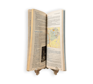 A Collection of Michelin Guides: Rome, México, Switzerland