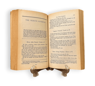 A Portrait of the Artist as a Young Man - Thryft