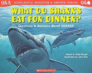 What Do Sharks Eat For Dinner? - Thryft