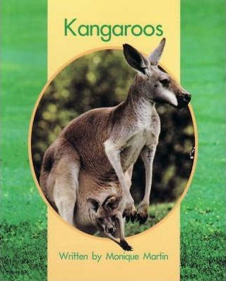 Springboard Lvl 7d: Kangaroos