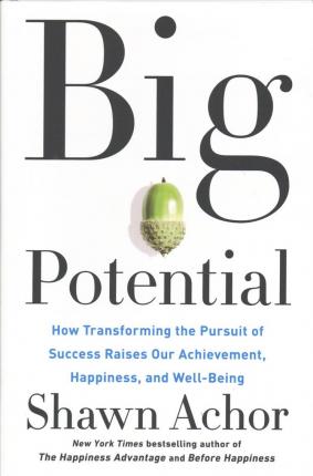 Big Potential : How Transforming the Pursuit of Success Raises Our Achievement, Happiness, and Well-Being