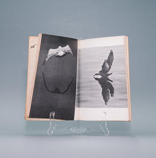 Jonathan Livingston Seagull: A story - Thryft