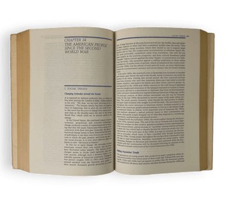 The American People: A History – Volume 2 • Since 1865 - Thryft