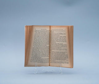 The Silver Chair - Thryft