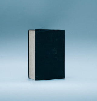 The Rise of American Civilisation - Thryft