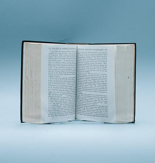 The Rise of American Civilisation - Thryft