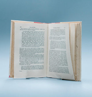 Law and Orders: An inquiry into the nature and scope of delegated legislation and executive powers in English law, Third Edition - Thryft