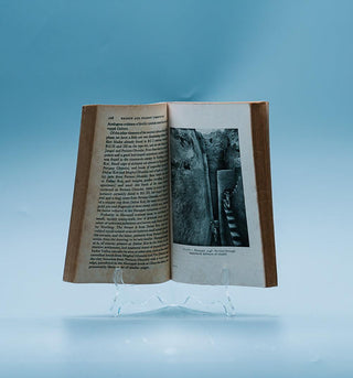 Prehistoric India (First Edition) - Thryft