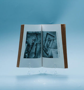 Prehistoric India (First Edition) - Thryft