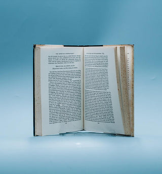 Jean-Jacques Rousseau, Volume I and II - Thryft