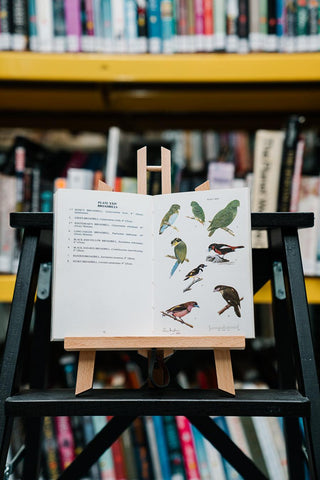 Pocket Guide to The Birds of Borneo - Thryft