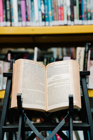 The Americans: the democratic experience - Thryft